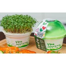 Набор для выращивания «Моя микрозелень КРЕСС-САЛАТ»