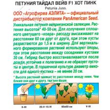 Петуния Тайдал Вейв F1 хот пинк 4 шт Аэлита