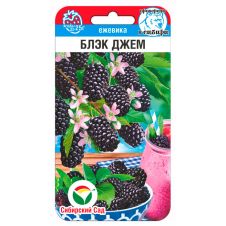 Ежевика Блэк Джем 10 шт Сибирский сад