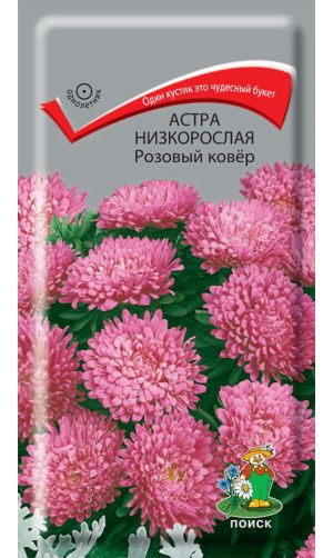 Астра низкорослая Розовый ковёр, 0,2 гр.
