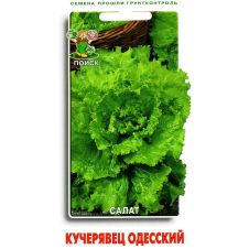 Салат Кучерявец Одесский (ЦВ), 1 гр.