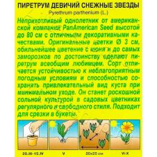 Пиретрум Снежные звезды 7 шт Аэлита