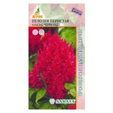 Целозия Кимоно Черри Ред 15 шт