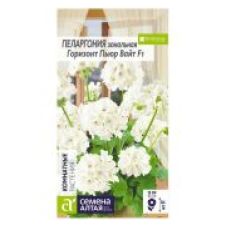 Пеларгония зональная, Горизонт Пьюр Вайт 4шт