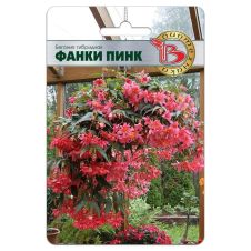 Бегония гибридная Фанки Пинк (ампельная) 5 шт Биотехника