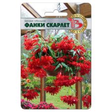 Бегония гибридная Фанки Скарлет (ампельная) 5 шт Биотехника