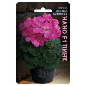 Пеларгония зональная карликовая Нано F1 Пинк 5 шт Биотехника