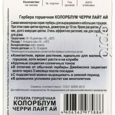 Гербера горшечная Колорблум Черри Лайт Ай 5 шт Биотехника