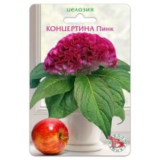 Целозия горшечная Концертина Пинк 8 шт Биотехника