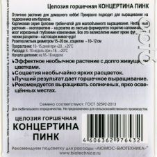 Целозия горшечная Концертина Пинк 8 шт Биотехника