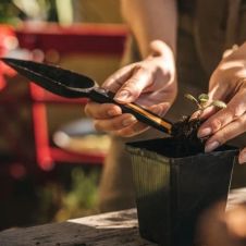 Совок для посадки Solid FISKARS