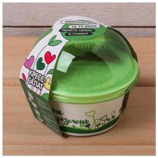 Набор для выращивания «Моя микрозелень КРЕСС-САЛАТ»