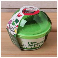 Набор для выращивания «Моя микрозелень РЕДИС»