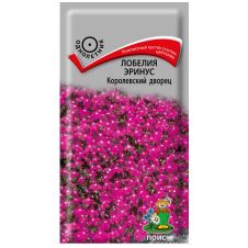 Лобелия эринус Королевский дворец 0,1 г Поиск