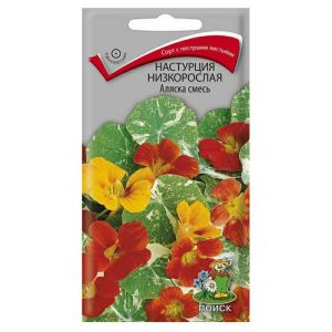 Настурция низкорослая Аляска смесь 1 г ПОИСК