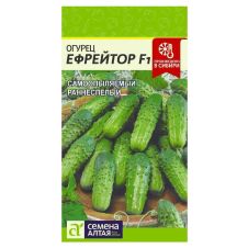 Огурец Ефрейтор F1 Семена Алтая