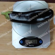 Баклажан Алмаз Партнер