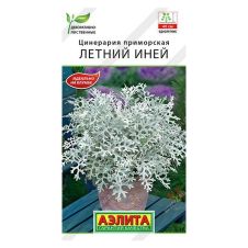 Цинерария Летний Иней 0,1 г Аэлита