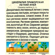 Цинерария Летний Иней 0,1 г Аэлита