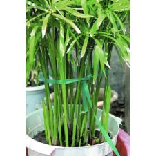 Лента для тапенера Tapetool B, длина 25 м, Greengo