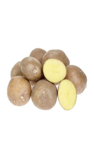 Картофель семенной Крепыш (суперэлита) 2,5 кг