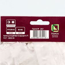 Бузульник Пржевальского 1 шт Поиск