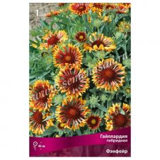 Гайллардия гибридная Фэнфейр 1 шт