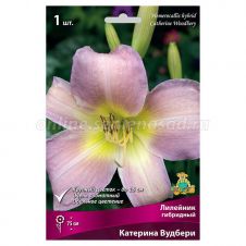 Лилейник гибридный Катерина Вудбери 1 шт