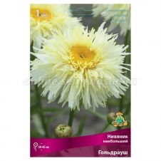 Нивяник наибольший Гольдрауш 1 шт