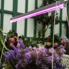 Светильник светодиодный для растений 0,56м, 18W, Uniel