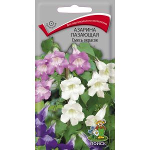 Азарина лазающая Смесь окрасок, 10 шт Поиск