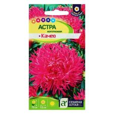 Астра Камео коготковая 0,3 г Семена Алтая