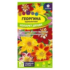 Георгина Коларет Денди 0,3 г Семена Алтая