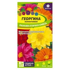 Георгина Ранняя Птичка 0,3 г Семена Алтая