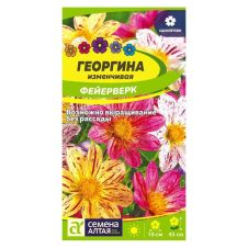 Георгина Фейерверк 0,2 г Семена Алтая