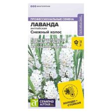 Лаванда Снежный колос английская 5 шт Семена Алтая