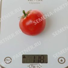 Томат ЛИРИКА F1 0,1 г Партнер
