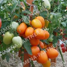 Томат ФАРАДЕНЗА F1 10 шт Партнер