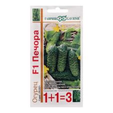 Огурец Печора Гавриш