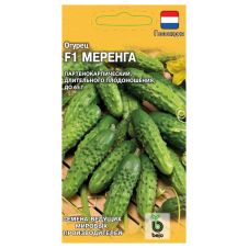 Огурец Меренга F1 Гавриш