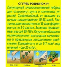 Огурец Родничок F1 Аэлита