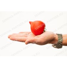 Партнер Томат ПИКАДОР F1 (0,5г)