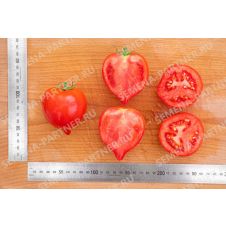 Партнер Томат ПИКАДОР F1 (0,5г)