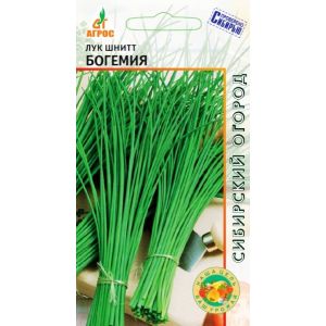 Лук шнит Богемия, 1г
