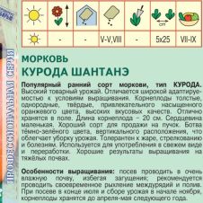 Морковь Курода Шантанэ F1, 1 г, Агрос