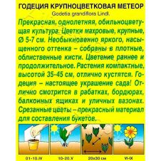 Годеция Метеор крупноцветковая 0,3 г Аэлита