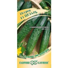 Огурец Цезарь F1 Гавриш Семена от автора