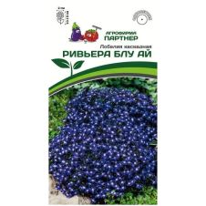 Лобелия каскадная РИВЬЕРА БЛУ АЙ 10 шт