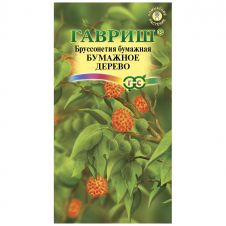 Бруссонетия Бумажное дерево 3 шт.