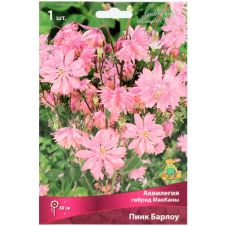 Аквилегия гибрид МакКаны Пинк Барлоу 1 шт Поиск
